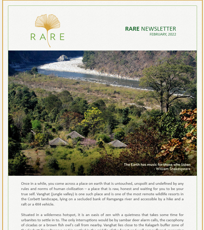 RARE Newsletter | Forest Unplugged | Vol 54 | Feb 2022
